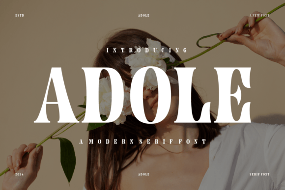 Adole Serif Font Review for Real Projects