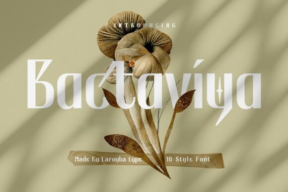 Bactaviya: A Bold and Elegant Sans Serif Font for Branding
