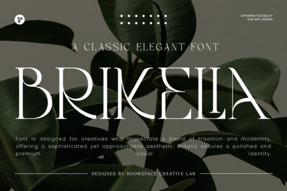 Brikelia Serif Font for Handmade Creations