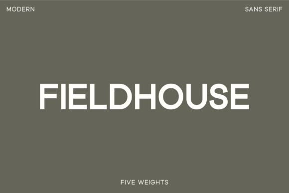 Fieldhouse Font: A Modern Sans Serif for Editorial Design
