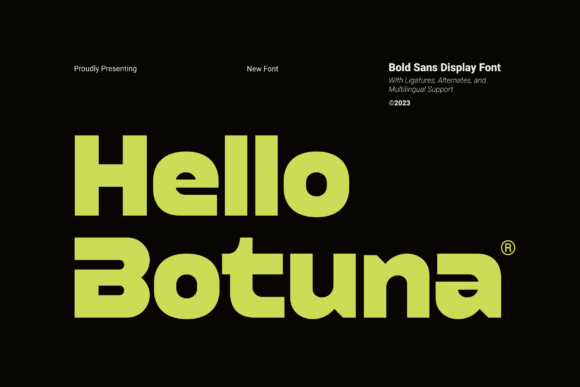 Hello Botuna - A Bold Sans Display Font for Modern Web Design