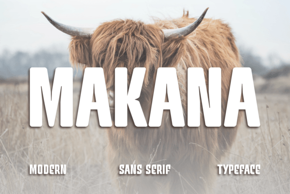 Makana Sans Serif Font for Modern Web Design