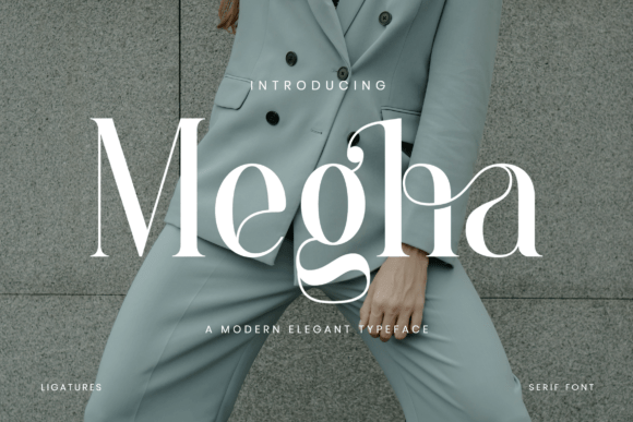 Megha Serif Font for Modern Web Design