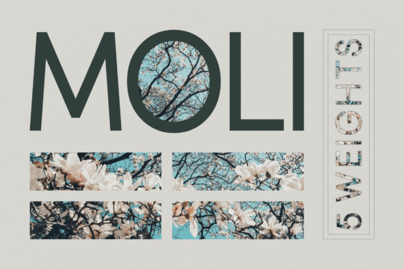 Moli Font Family for Modern Editorial Design