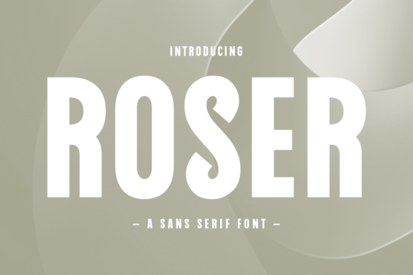 Roser Sans Serif Font for Modern Editorial Design