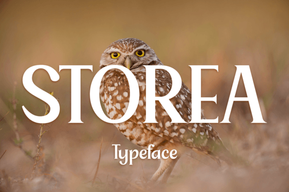Storea: A Serif Font for Timeless Editorial Design